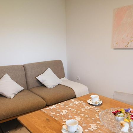 Apartments-Rooms Kocijancic Μπλεντ Εξωτερικό φωτογραφία