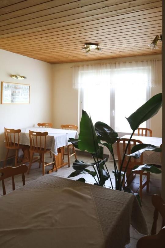 Apartments-Rooms Kocijancic Μπλεντ Εξωτερικό φωτογραφία