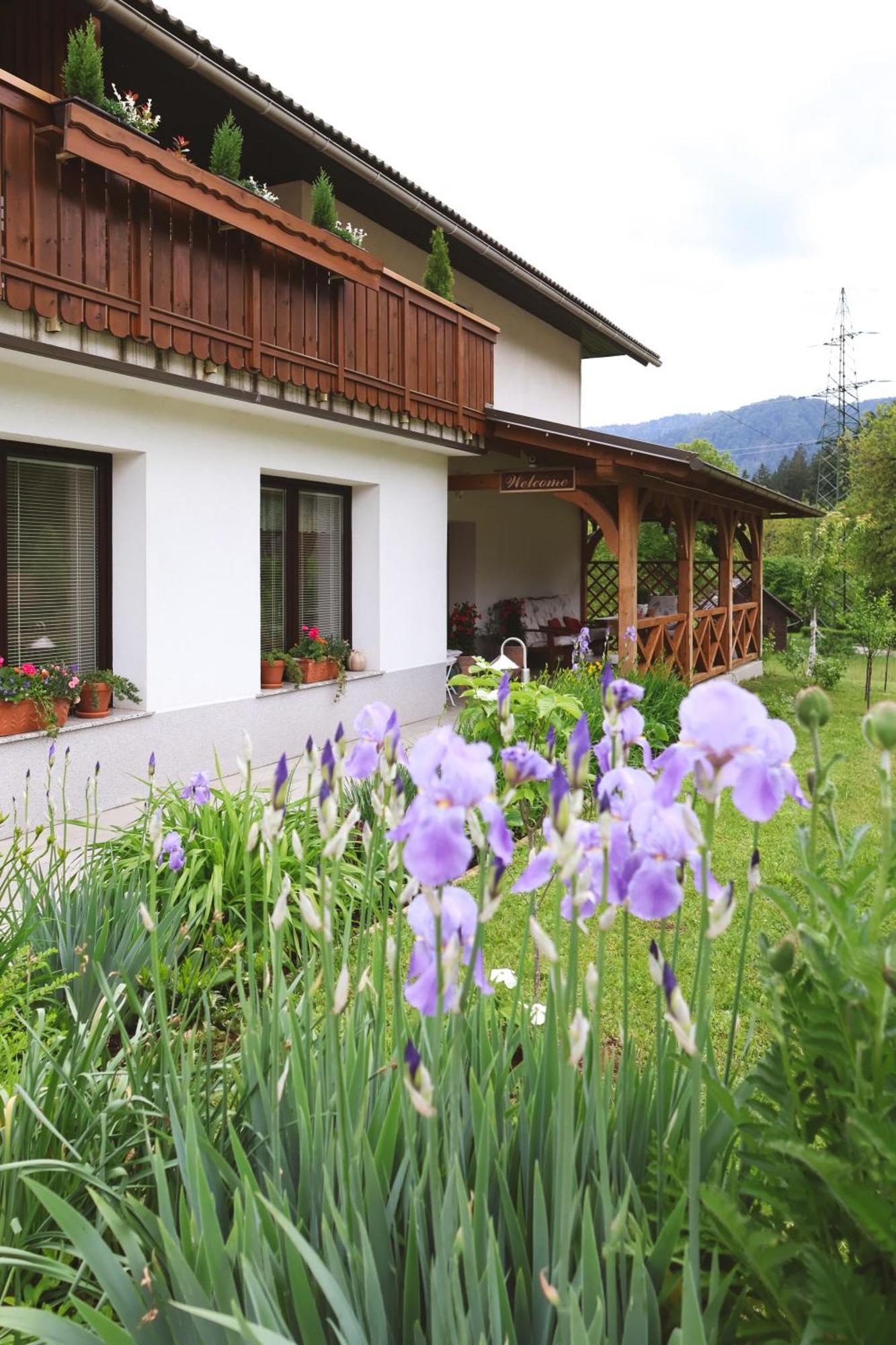 Apartments-Rooms Kocijancic Μπλεντ Εξωτερικό φωτογραφία